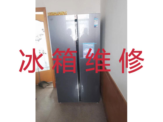 连云港专业冰箱冰柜安装